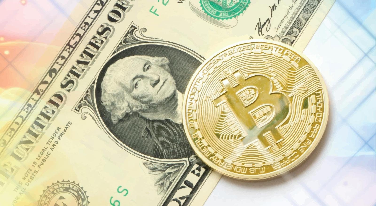 Best Crypto Hardware Wallet 2025