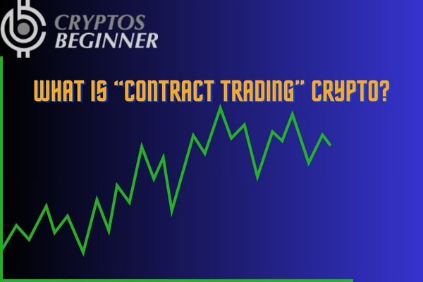 Phemex Exchange – A Comprehensive Analysis of Phemex Trading Platform