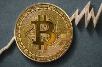 Bitcoin Fees