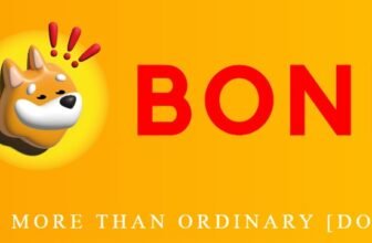 Bonk Coin